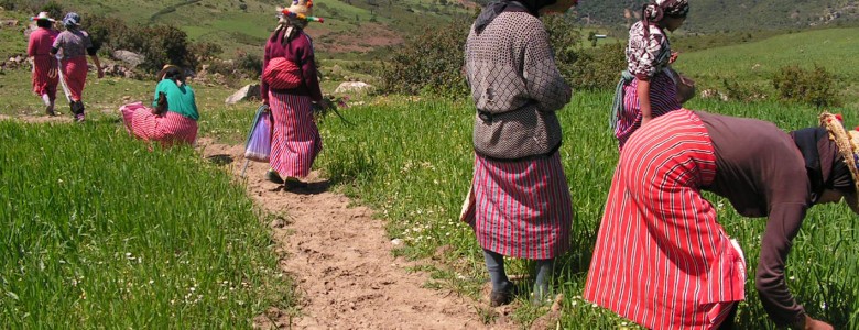 La mitad de las asociaciones de inmigrantes en España financia iniciativas en sus territorios de procedencia