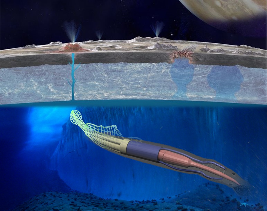 Calamar robótico para explorar océanos lunares- NASA/Cornell University/NSF