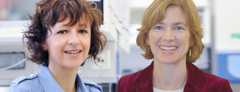 Charpentier y Doudna, premio Princesa de Asturias de Investigación Científica y Técnica
