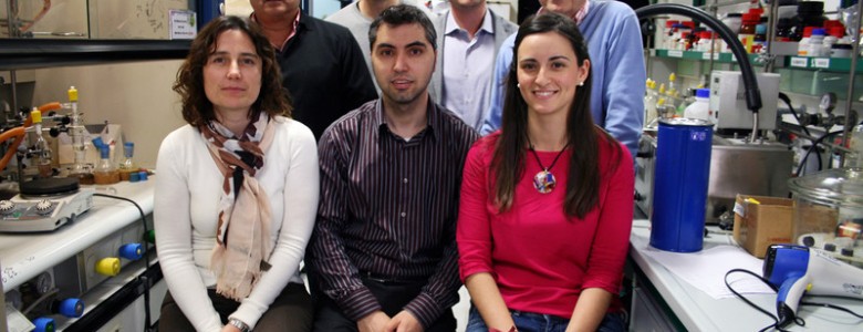 Crean nuevos compuestos con moléculas orgánicas y metálicas