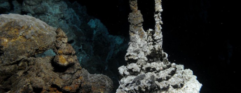 Descubierto el eslabón perdido en la evolución de las células complejas