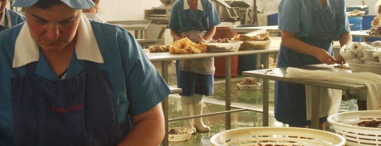 El empleo durante el embarazo se relaciona con menos partos prematuros