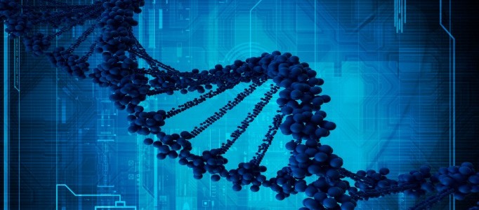 La expresión de los genes es clave para comprender las diferencias entre individuos y la predisposición a enfermedades