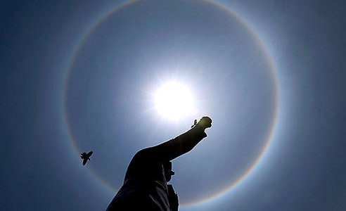 ¿Cómo se forman los halos solares?