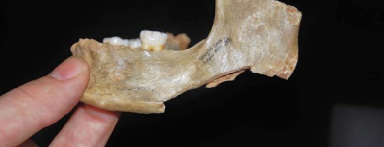 Canibalismo ritual en Gran Bretaña, hace 14,500 años