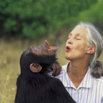 Jane Goodall, la primatóloga más famosa del mundo, nació el 3 de abril de 1934