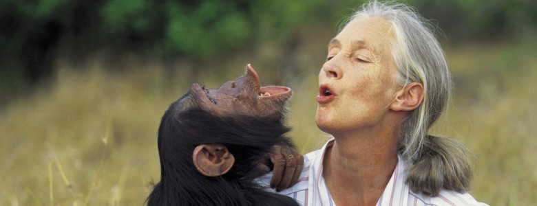 Jane Goodall