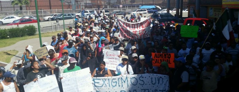 Jornaleros Valle de San Quintín