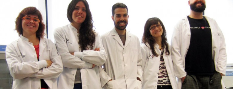 La epilepsia reduce la generación de nuevas neuronas