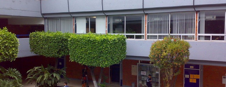 La presencia de vegetación en las escuelas reduce la contaminación del aire