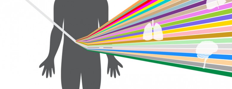 La variación genómica es mayor entre órganos que entre individuos