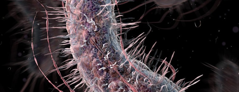 Nuevas bacterias sintéticas detectan diabetes y cáncer en la orina