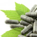 Nueve de cada diez fármacos a base de plantas no cumplen con la nueva legislación europea