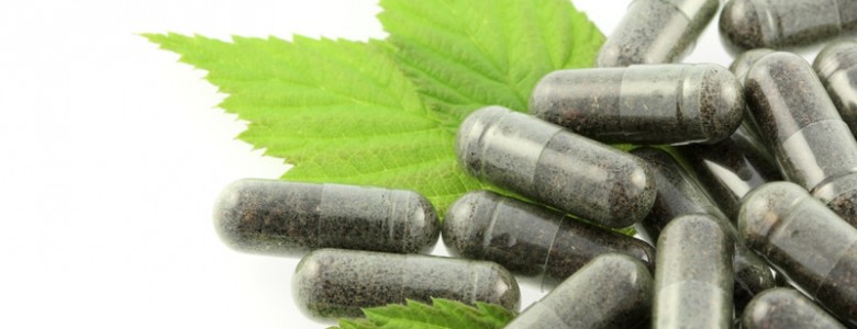 Nueve de cada diez fármacos a base de plantas no cumplen con la nueva legislación europea