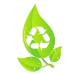 Día Mundial del Reciclaje: 17 de mayo