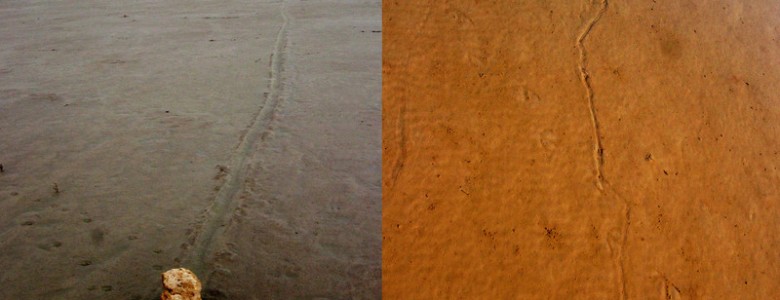Tormentas y microbios están detrás del misterio de las piedras errantes Tormentas y microbios están detrás del misterio de las piedras errantes