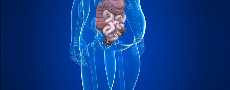 Uno de cada dos mexicanos padece síndrome metabólico