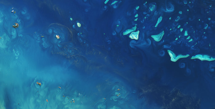 La Gran Barrera de Coral, de Australia, vista desde el espacio por el satélite Landsat 8- USGS/ESA