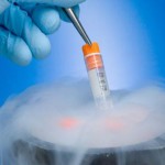 No hay beneficio en congelar todos los embriones antes de una fecundación in vitro