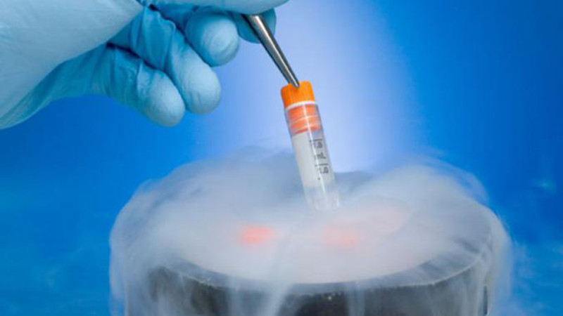 No hay beneficio en congelar todos los embriones antes de una fecundación in vitro