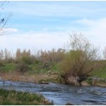 Un ‘software’ que diagnostica la salud de los ríos