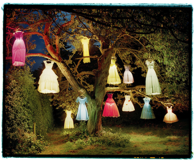 Árbol con vestidos-Lámpara, Tim Walker, Inglaterra, 2004