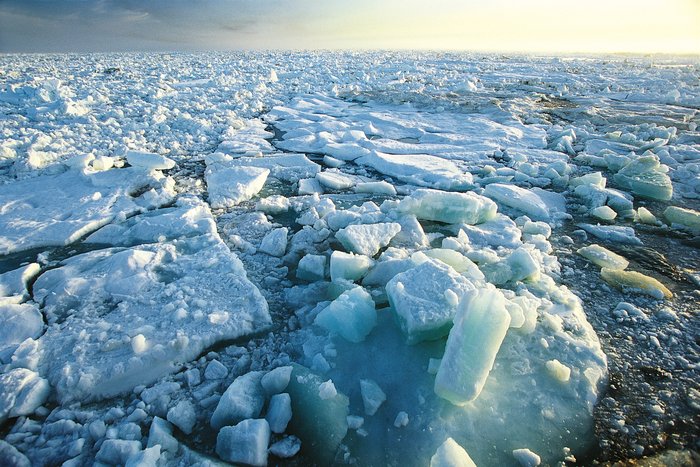 Un verano frío incrementa el hielo en el Ártico