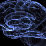 Se estudiará la enfermedad de Alzheimer en la ingravidez del espacio (VIDEO)
