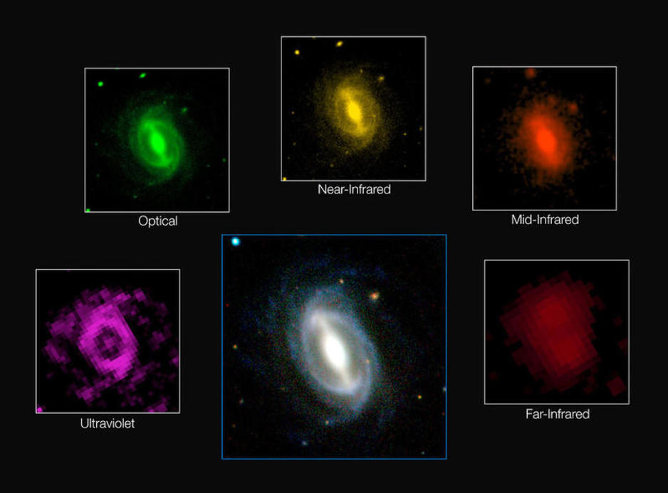 Galaxia típica en diferentes longitudes de onda con imágenes obtenidas por el sondeo GAMA- ICRAR/GAMA-ESO