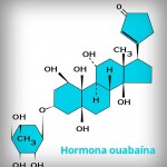 Científicos mexicanos identifican hormona con propiedades anticancerígenas