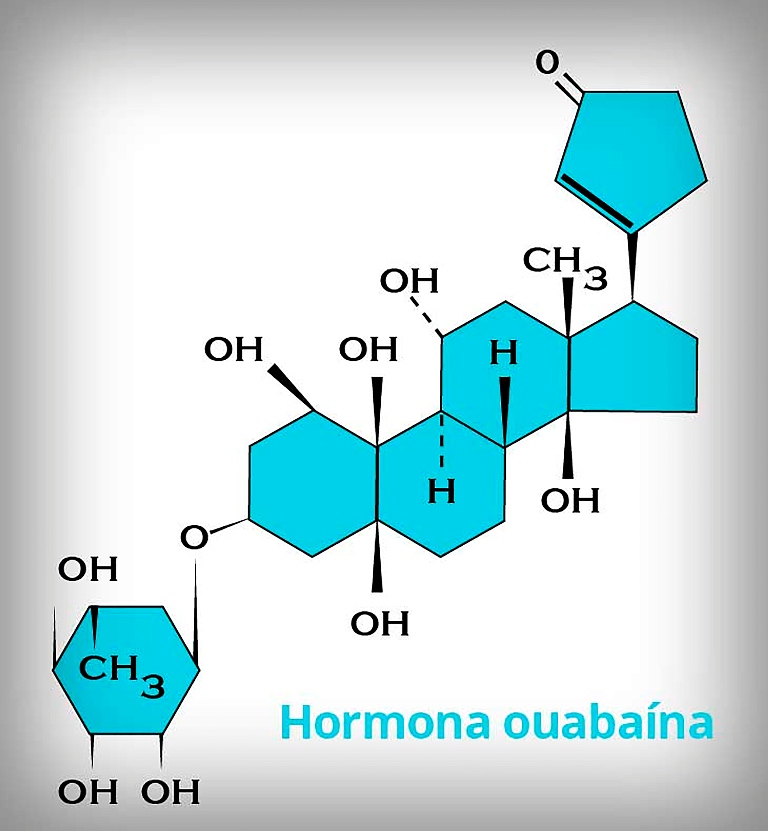 Científicos mexicanos identifican hormona con propiedades anticancerígenas