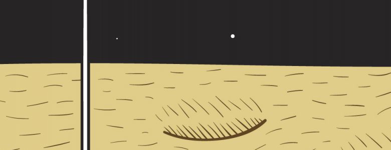 El fin de la carrera espacial- Wearbeard