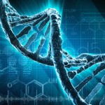 El dilema del genoma ‘post mortem’: ¿Qué hacer con los análisis genéticos cuando mueres?