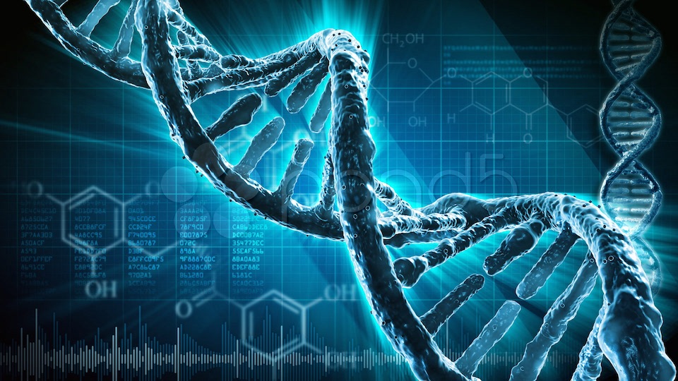 Genoma, ADN, información genética