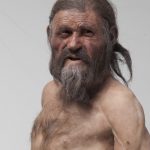 Ötzi, el hombre que vino del hielo