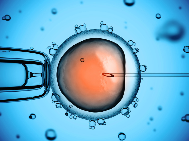 Las embarazadas varían la genética del futuro hijo incluso si el óvulo no es suyo