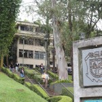 En defensa de la Universidad Veracruzana