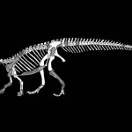 Sefapanosaurus zastronensis, una especie de dinosaurio que se extendió por el mundo