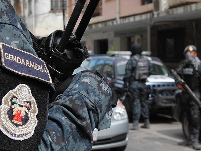 División de Gendarmería, Policía Federal, México