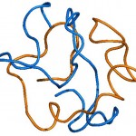 Un estudio contradice una premisa científica sobre la beta amiloide, proteína vinculada al Alzheimer
