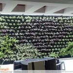 Jardines verticales, para crear espacios verdes en ciudades