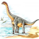 El primer dinosaurio colombiano