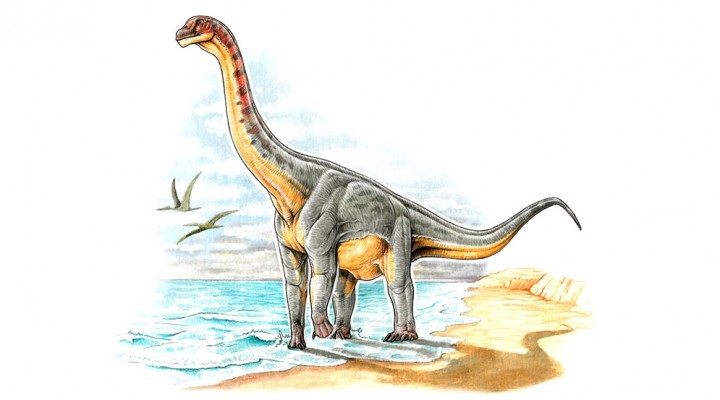 Padillasaurus leivaensis, el primer dinosaurio colombiano- Gabriel Lio