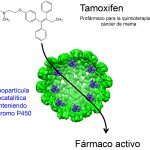 Nanopartículas que mejoran la eficacia de la quimioterapia