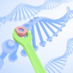 Una proteína que repara el ADN, recién identificada