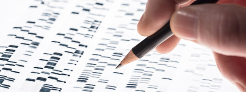 Código de barras para ADN