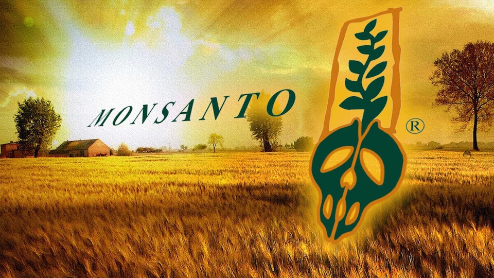 Monsanto- imagen ecoosfera