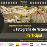 Segundo Concurso Nacional de Fotografía de Naturaleza: ¡Revela tu naturaleza