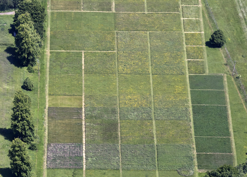 Vista aérea del terreno donde se realiza el Park Grass Experiment, en el Rothamsted Research (Reino Unido)- Rothamsted Research