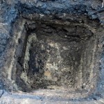 Bioremediación de suelos contaminados con petróleo usando microorganismos y lombrices de tierra